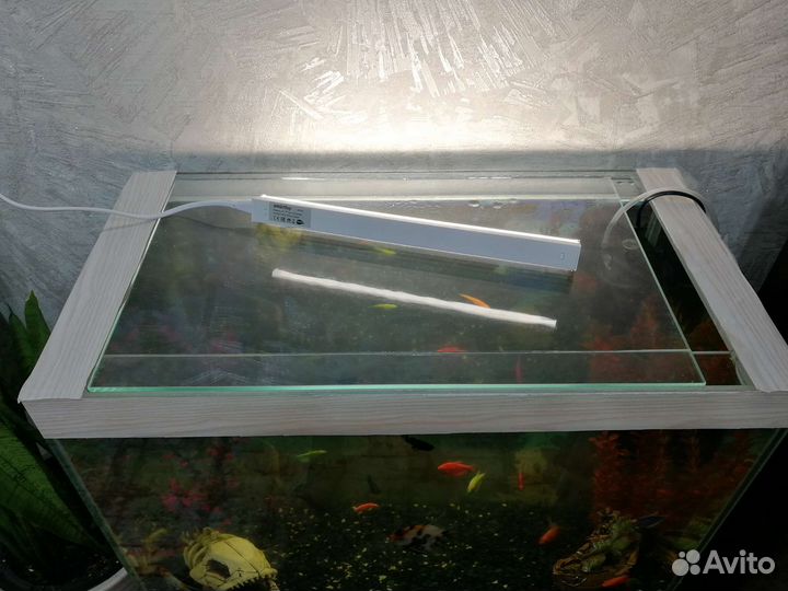 Аквариум