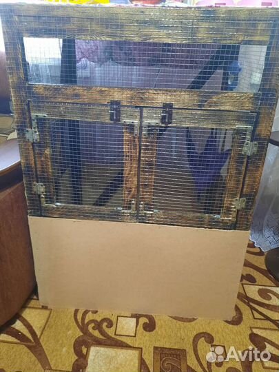 Белка Летяга