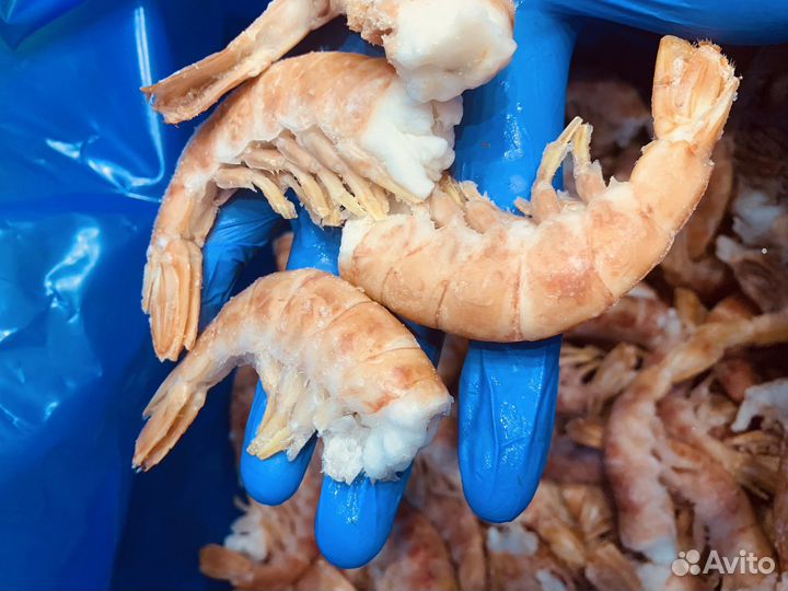 Аргентинские Лангустины C1 без голов