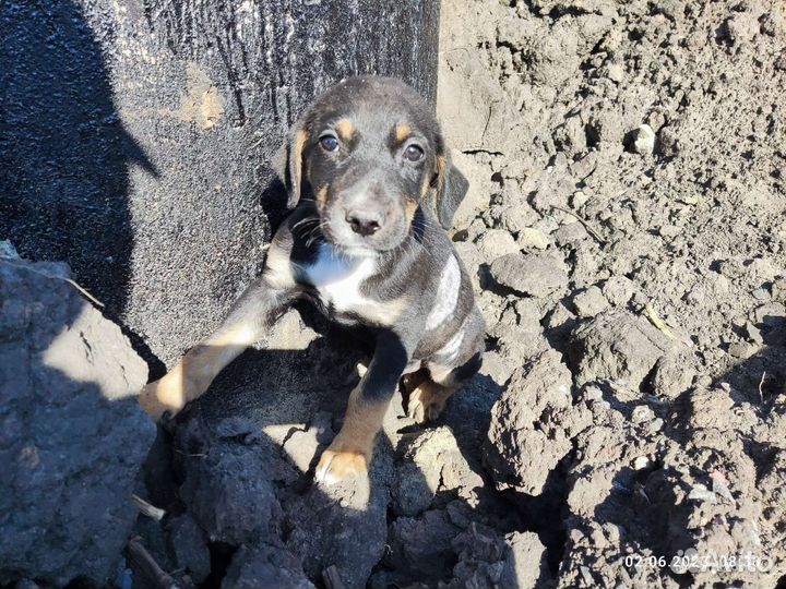 Малыш на стройке