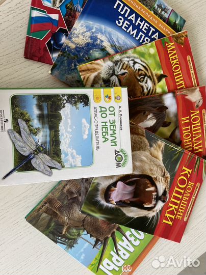 Книги для младших школьников