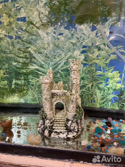 Аквариум б/у примерно 30 литров