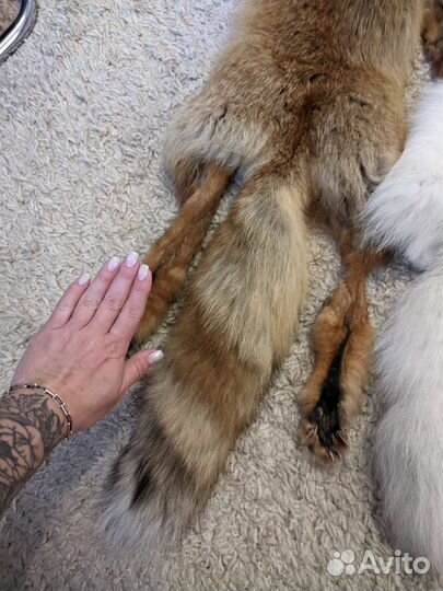 Шкуры лисы и песца (чулок)