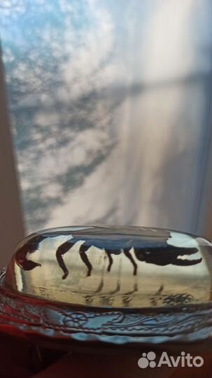 Мужской кожаный ремень.Бляха скорпион