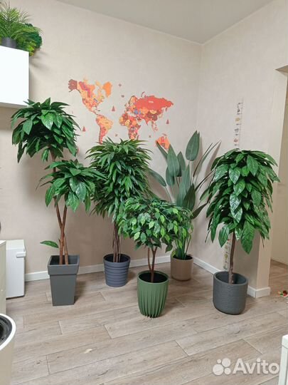 Искусственные растения