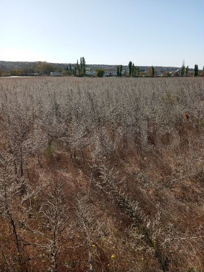 Участок 4 сот. (ИЖС)