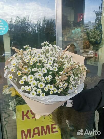 Цветы букет розы