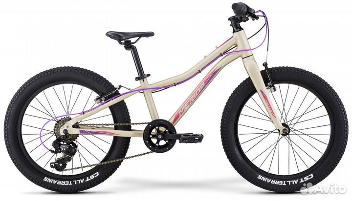 Детский велосипед Merida Matts J.20 Eco+ (2022)