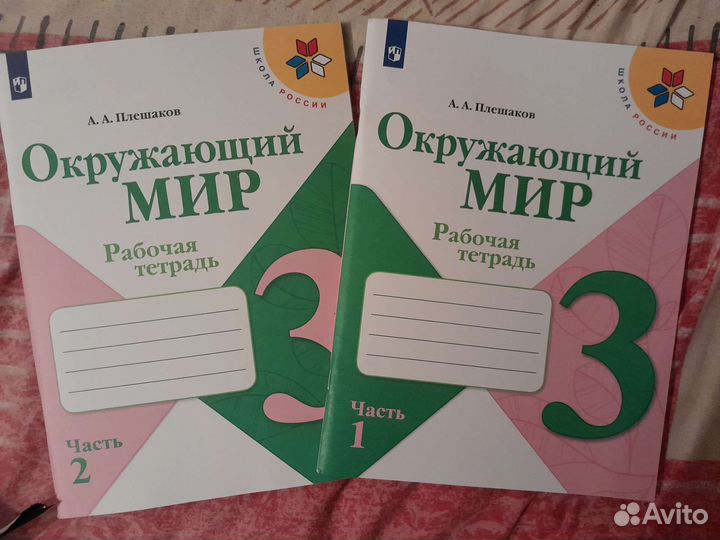 Рабочая тетрадь окружающий мир 3 класс
