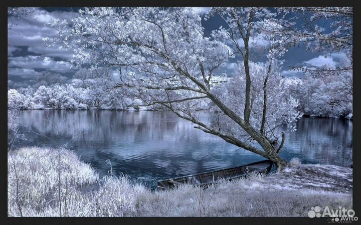 Инфракрасный модифицированный фотоаппарат