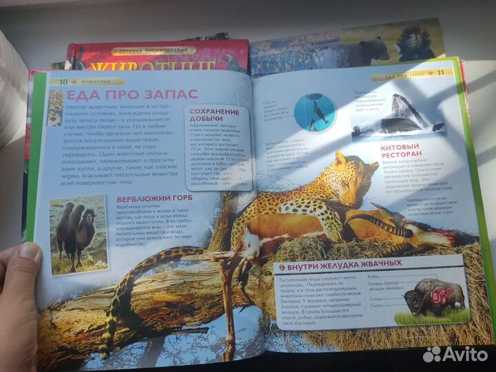 Детская энциклопедия