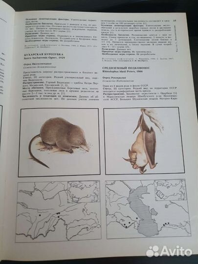 Красная книга СССР 1 том