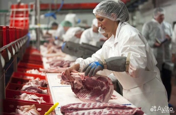 Займ в мясокомбинат, прибыль 18625