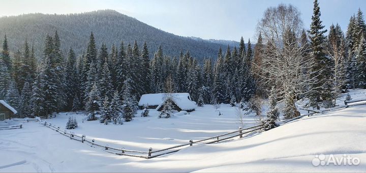 Охота на Алтае. Тур на 6 дней