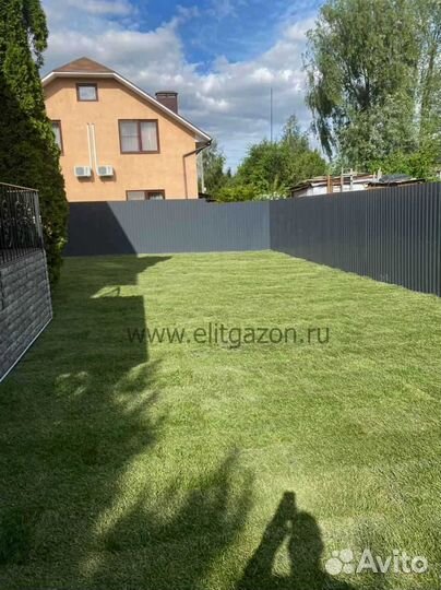 Рулонный газон, укладка, продажа