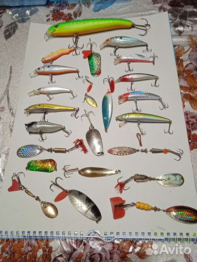 Охота и рыбалка