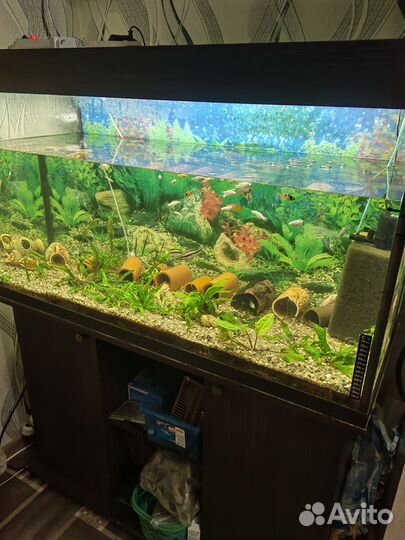 Аквариум 220 литров