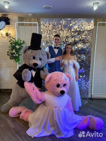 Белый мишка поздравление,Чебурашка,кот,аниматоры