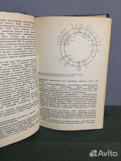 Микробиология. Учебник СССР