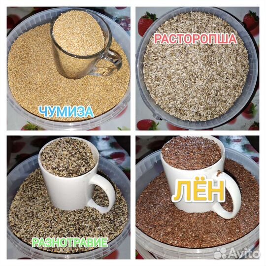 Корм для попугаев, канареек, голубей, лесных птиц