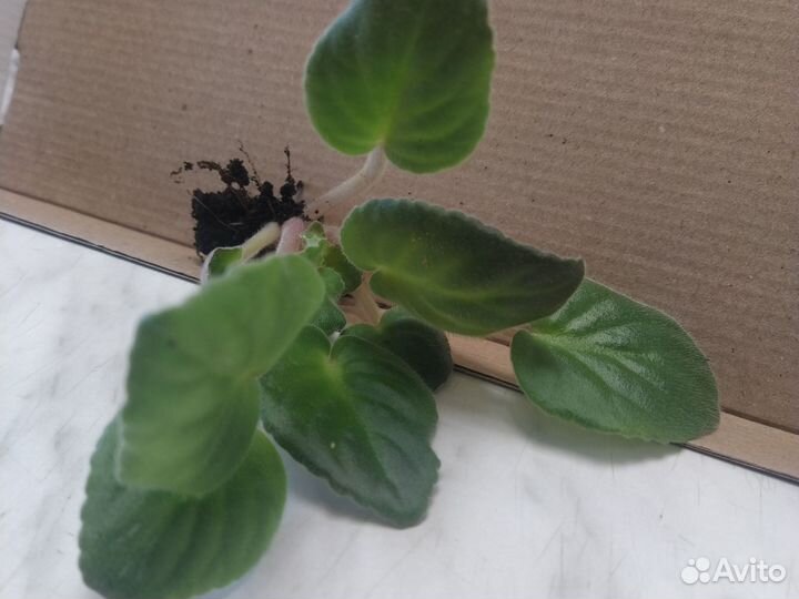 Форма для льда ананас