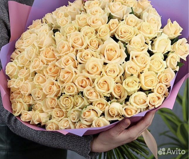 Розы букеты 25 31 51 101