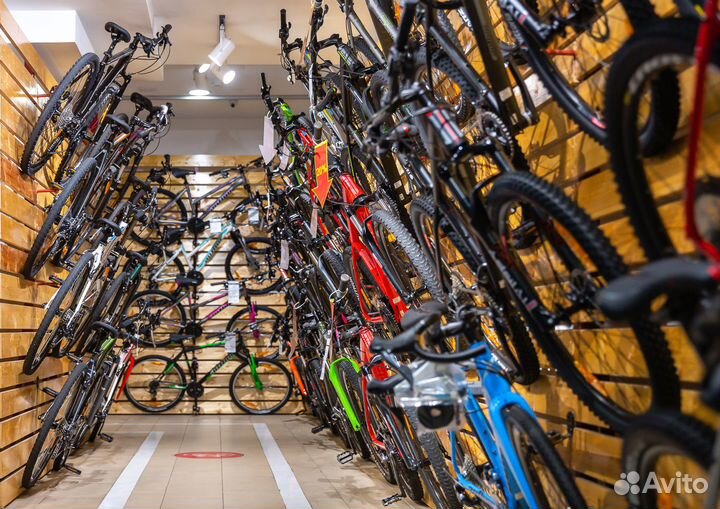 Гравийные Author Aura 2023