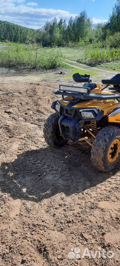 Motoland wild track x 200