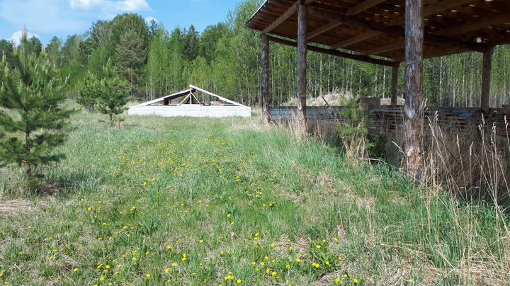 Участок 15 сот. (СНТ, ДНП)