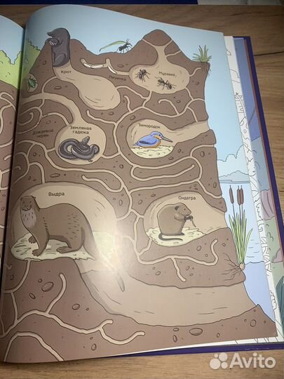 Обо всём на свете