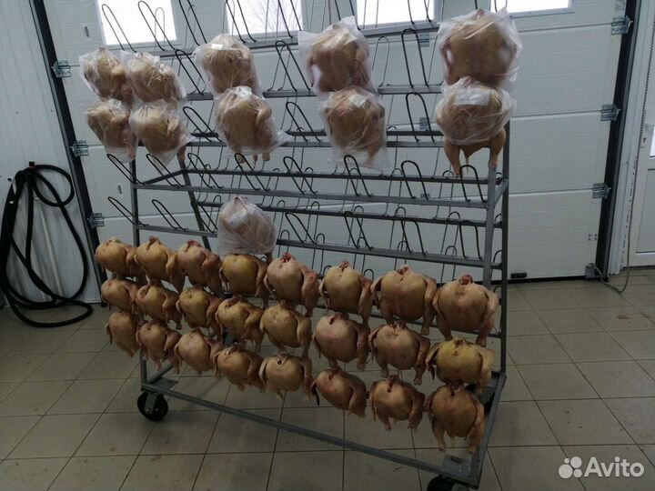 Куры мясо