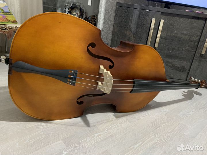 Музыкальные инструмент