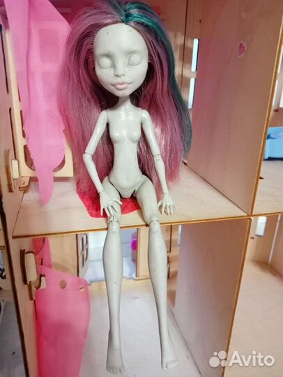 Рошель Гойл 