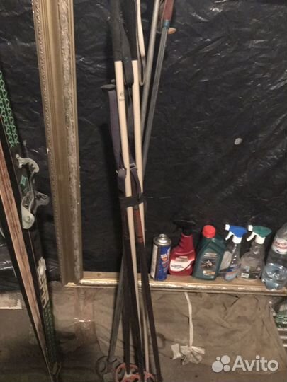 Лыжи tema, лыжи подъмосковье