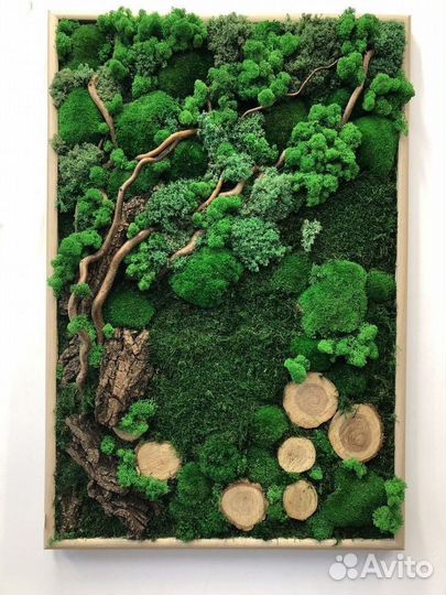 Фитопанно/Фитостена/Панно Искусственная зелень