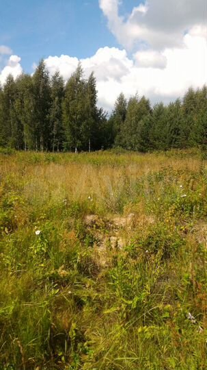 Участок 22 сот. (ИЖС)