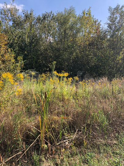 Участок 10 сот. (личное подсобное хозяйство (лпх))