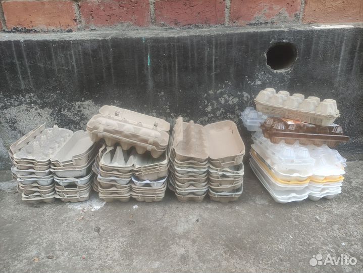 Лотки для яиц