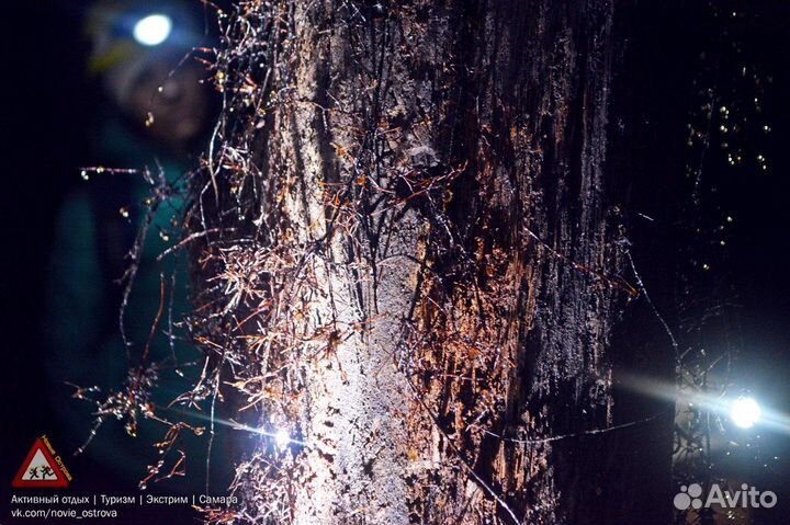 Битумные штольни. Сызранский Район