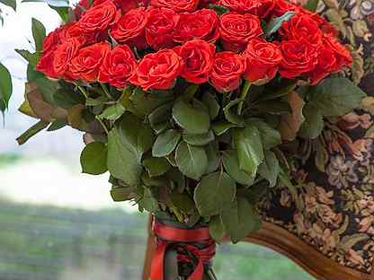 Купить растения на авито в подольске ритуальные корзины с цветами купить
