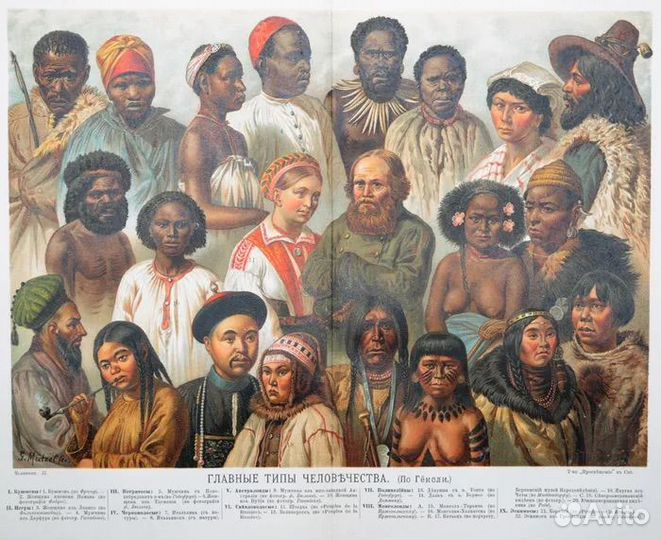 Антиквариат Книга в 2 томах Человек 1901 года