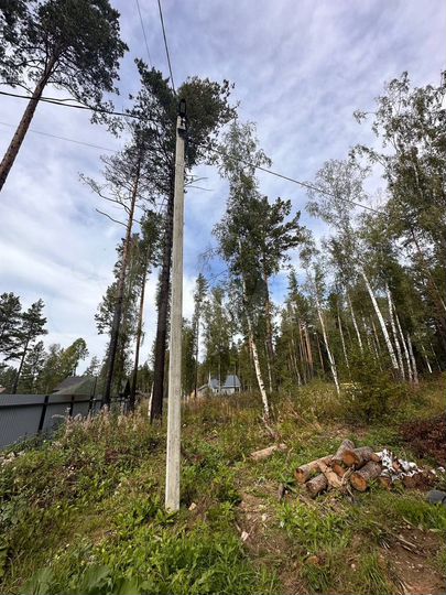 Участок 12,5 сот. (СНТ, ДНП)