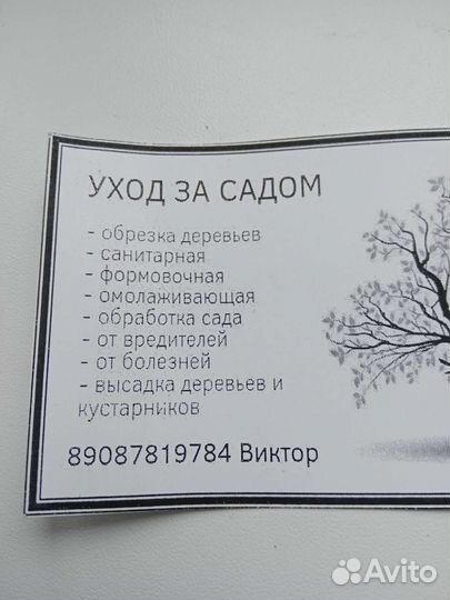 Обрезка плодовых деревьев