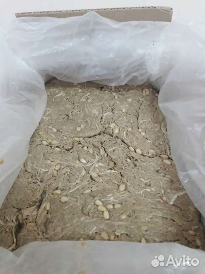 Халва подсолнечная с кедровым орехом Люкс