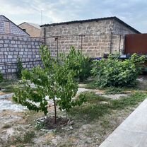 Дом 80 м² на участке 150 м² (Армения), Ширак