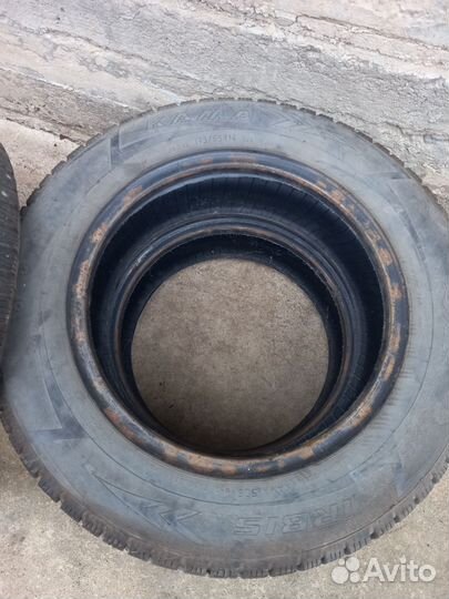 КАМА 505 Irbis 175/65 R14