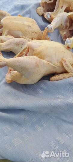Мясо цыплёнка -бройлера