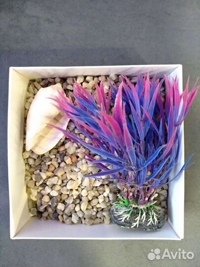 Аквариумы прямоугольный и круглый+ комплектующие