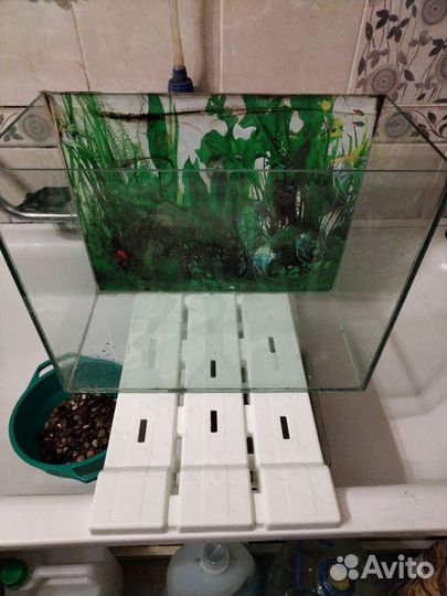 Аквариум