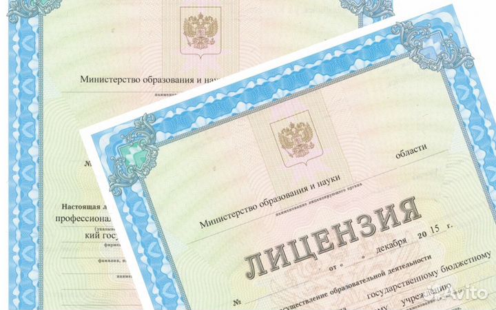 Помощь в получении образовательной лицензии